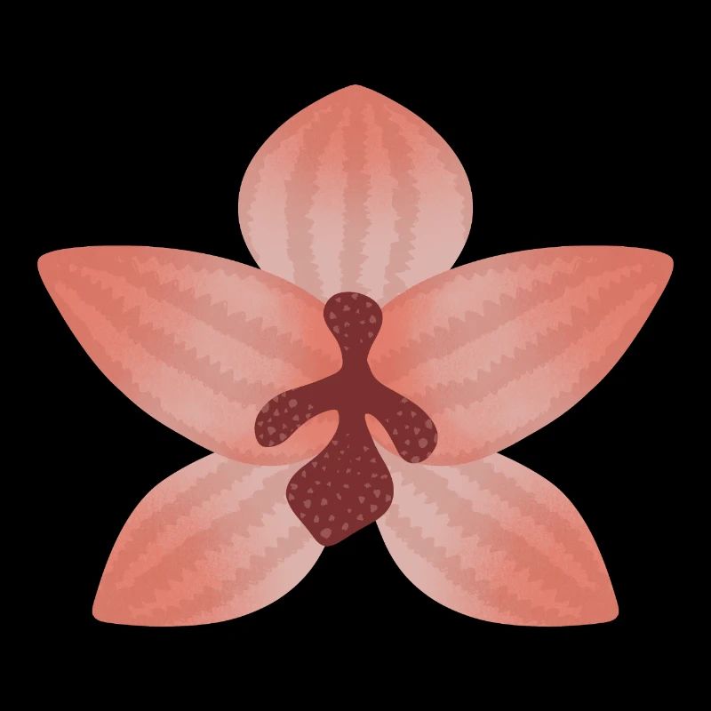 Fleur d’orchidée pastel