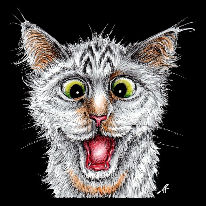Happy Cat