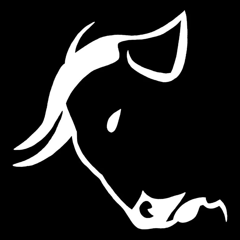 Tête de taureau blanche