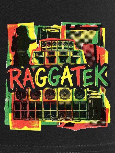 Système de son Raggatek Session