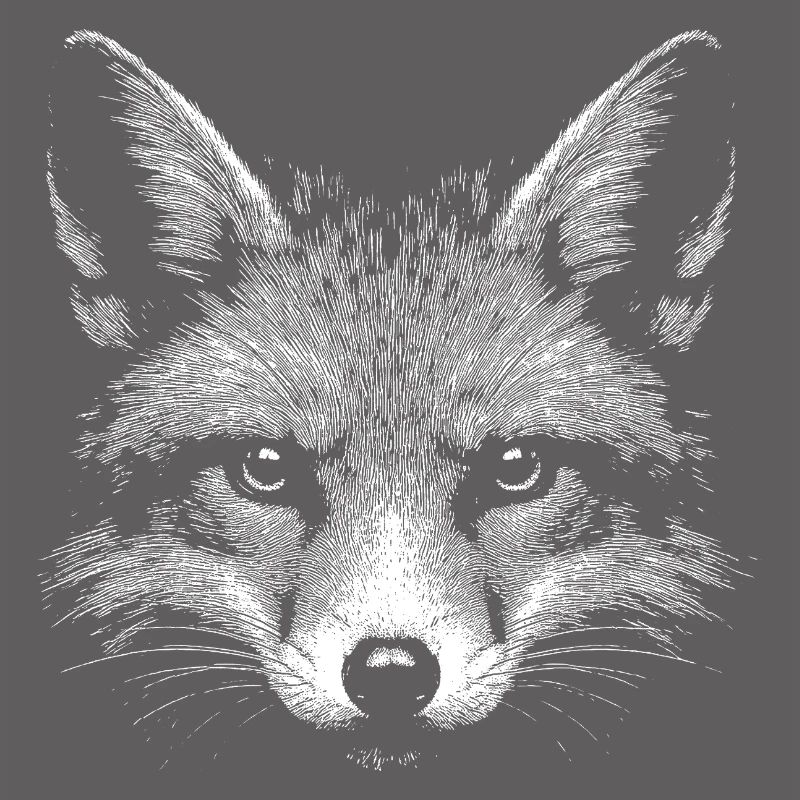 Rotfuchs