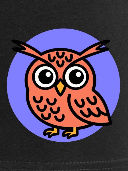 Cute Owl