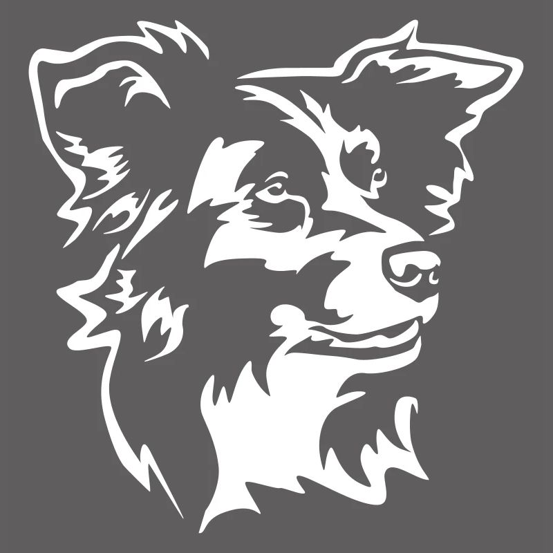 Border Collie Kopf "Black Edition"