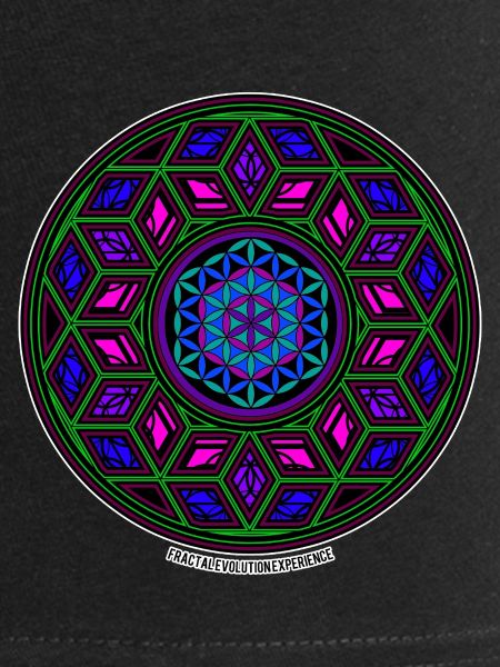 Expérience d’évolution fractale Kaléidoscope Mandala