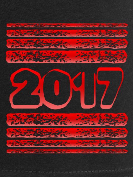 Year 2017