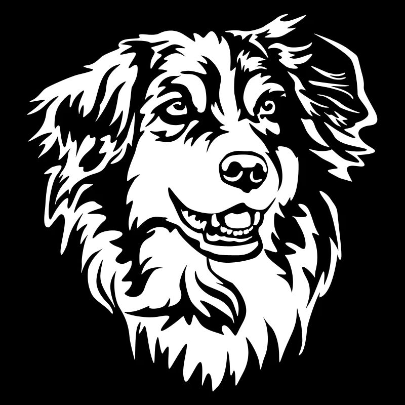 Australian Shepherd Kopf "Black Edition"