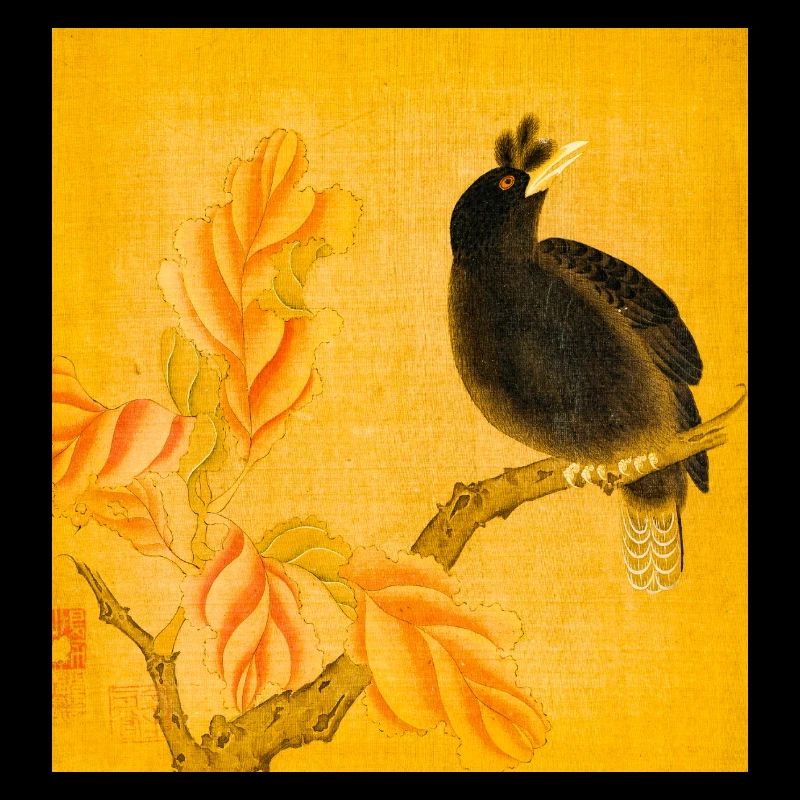 Schwarzer Singvogel auf gelben Blüten