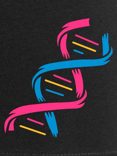 La structure d'une molécule d'ADN