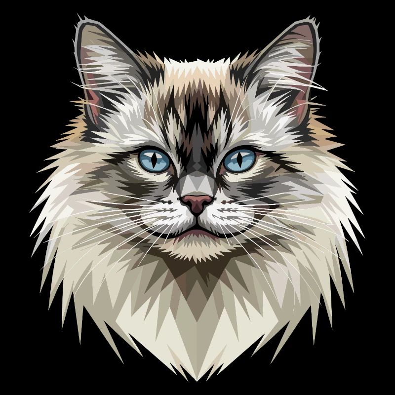 Chat Birman Chat Birman Sacré Chat Birman Mignons Chats Birman