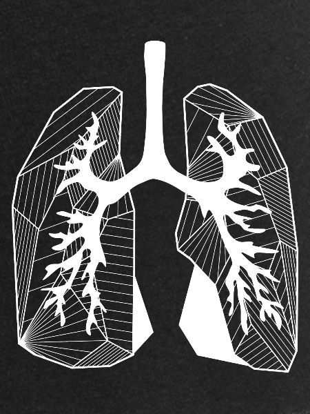 Lungs