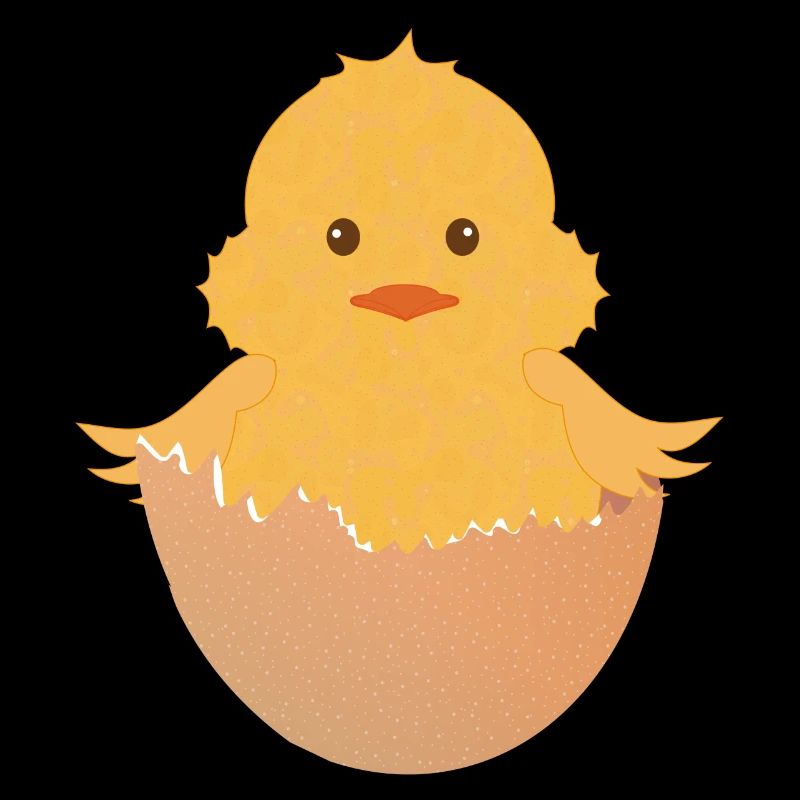 newly hatched chick in the eggshell