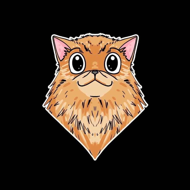 Chat persan Race de chat Chat