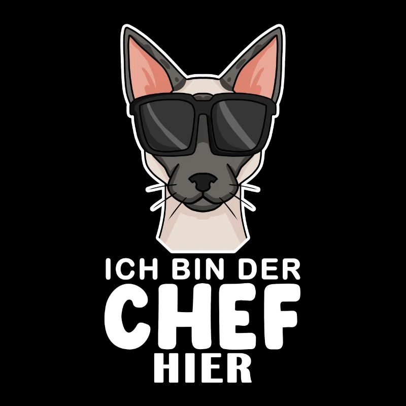coole Katze - Siamkatze Spruch