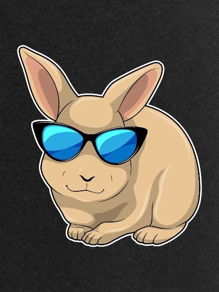 Rabbit Sunglasses