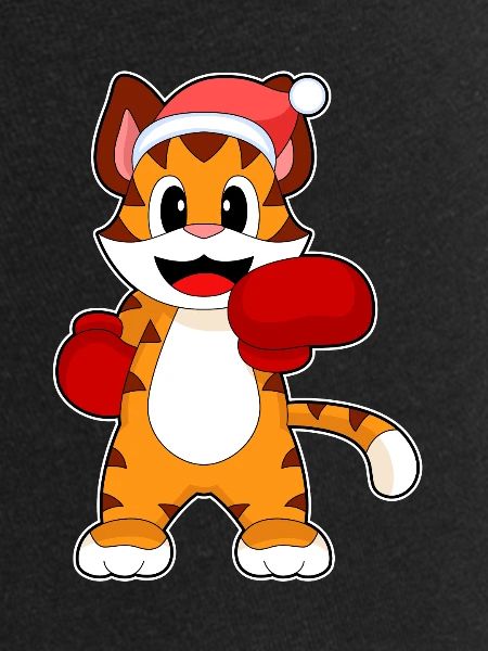 Tiger Christmas Boxes