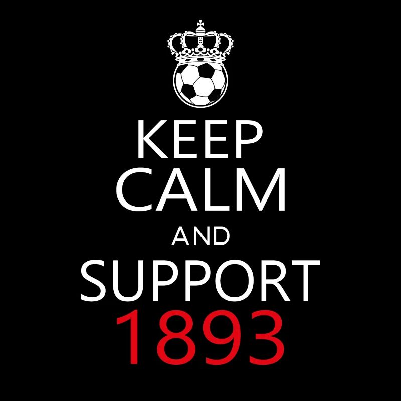 Support 1893
