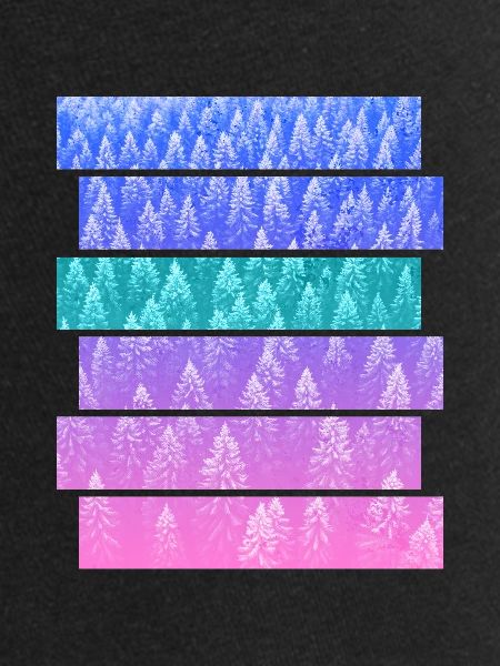 Fir