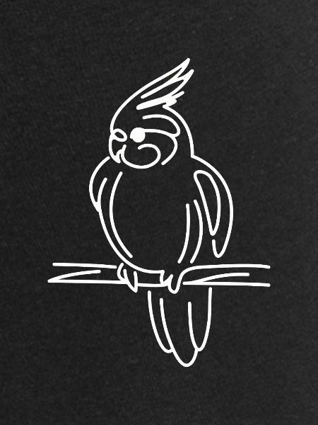 Cockatiel