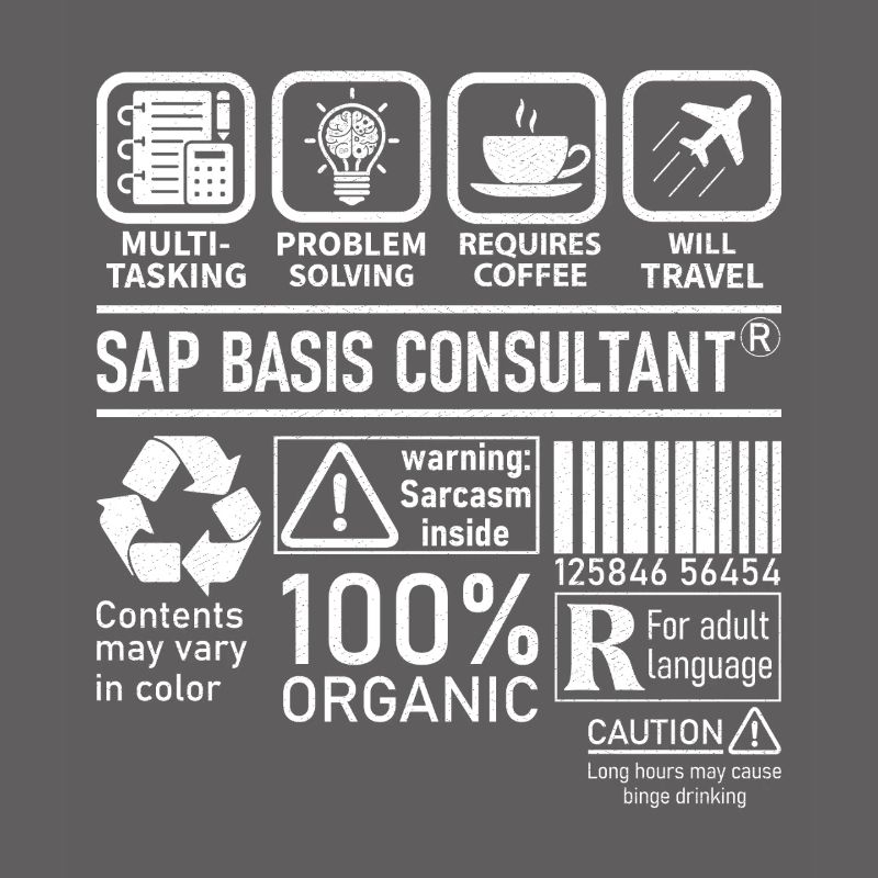 Sap Basis Consultant multi tasking problem solving