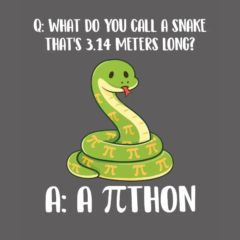 Snake 3.14 Meters Long Pi Day Python Joke