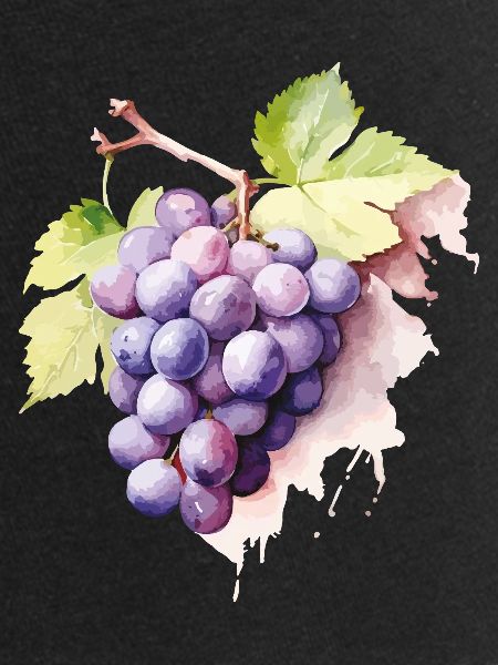 Grappe d’aquarelle de raisins