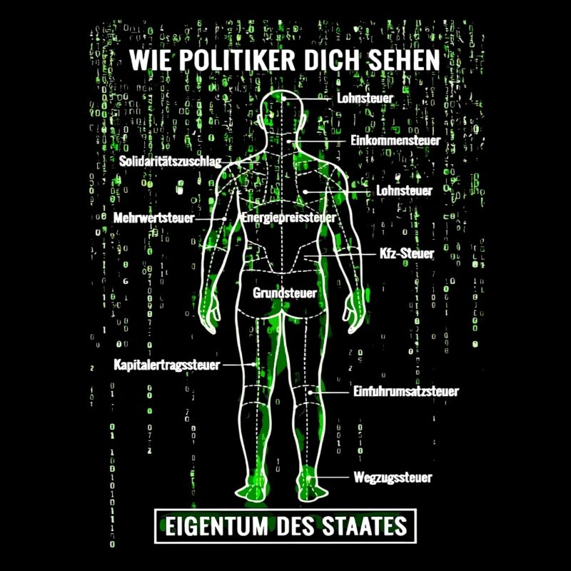 Systemfehler Steuerzahler - Matrix Zerlegeplan 