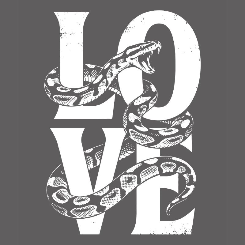 Königspython Schlangen LOVE Terrarium Python