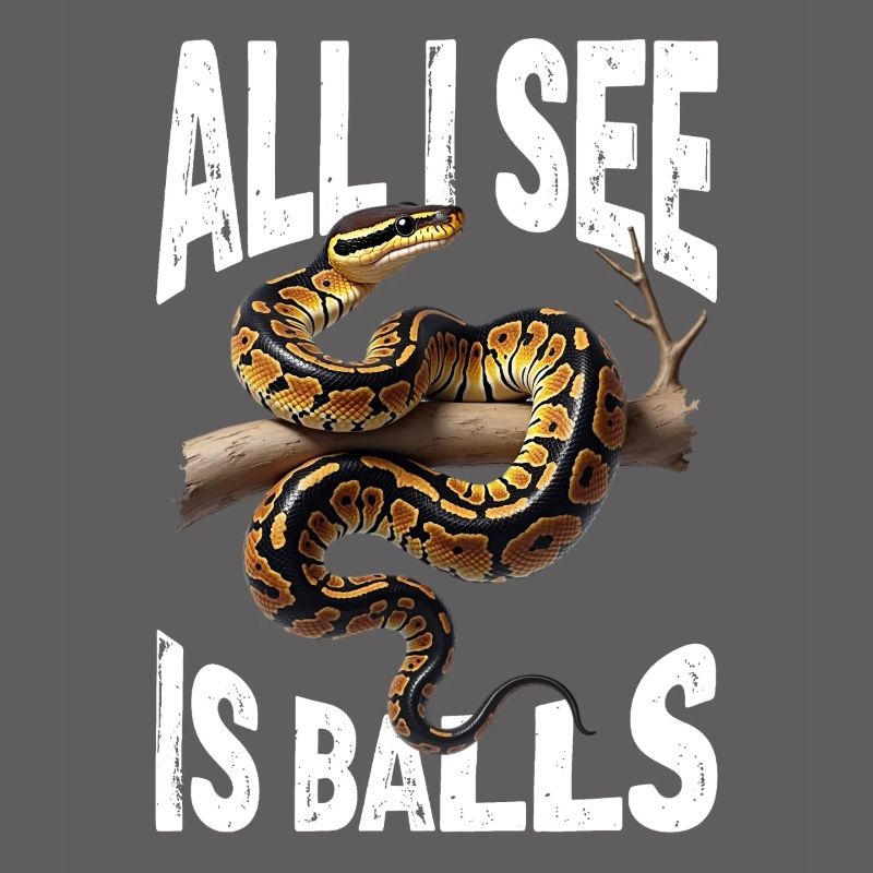 King Python Snakes Lover Terrarium Python