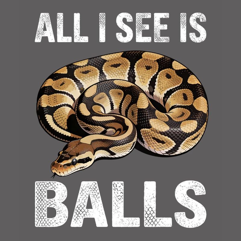 Python roi Serpents Amateurs de terrarium Python