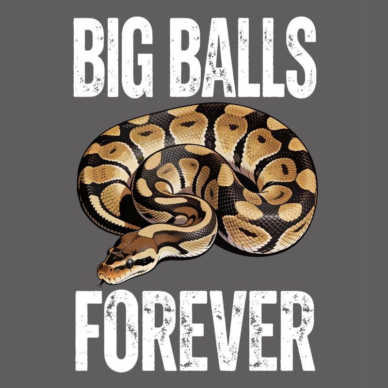 King Python Snakes Lover Terrarium Python