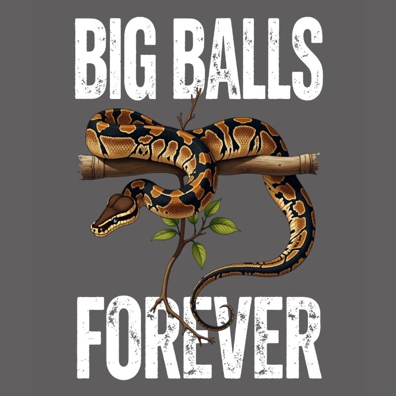 King Python Snakes Lover Terrarium Python