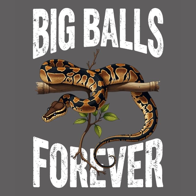 Python roi Serpents Amateurs de terrarium Python