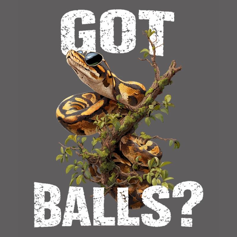 Python roi Serpents Amateurs de terrarium Python