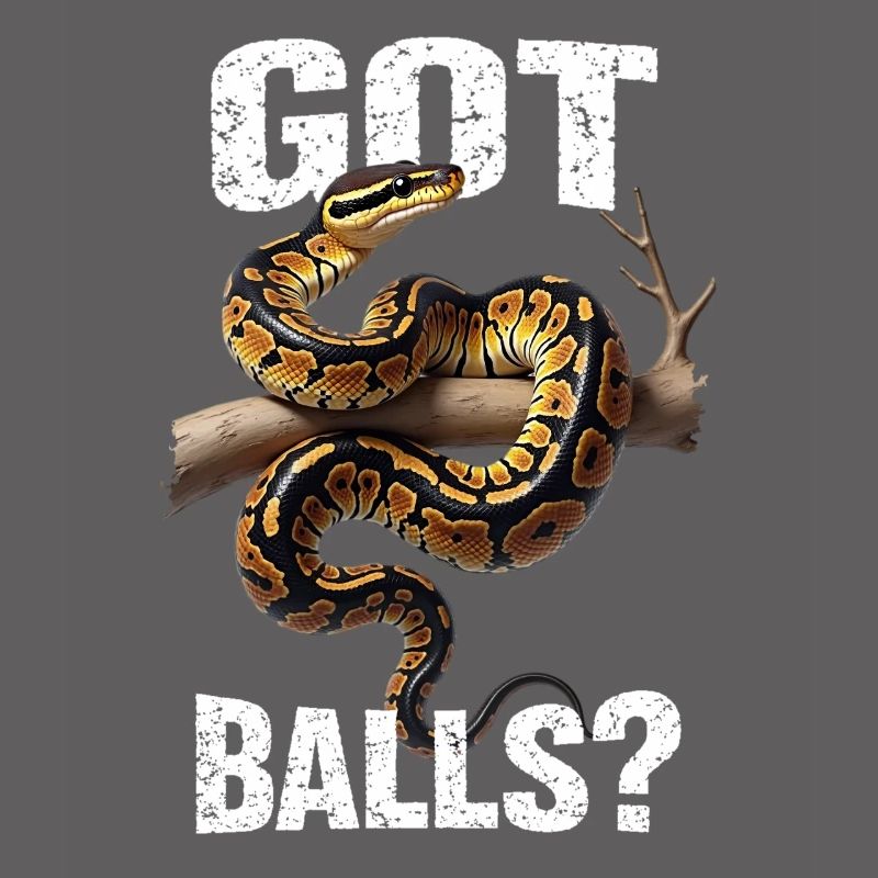 Python roi Serpents Amateurs de terrarium Python