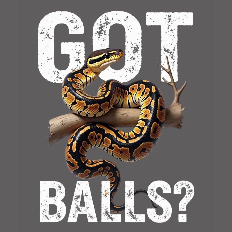 King Python Snakes Lover Terrarium Python