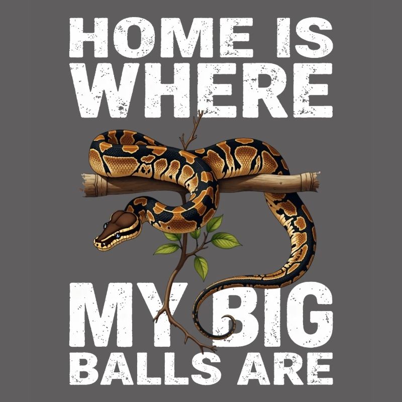 Python roi Serpents Amateurs de terrarium Python