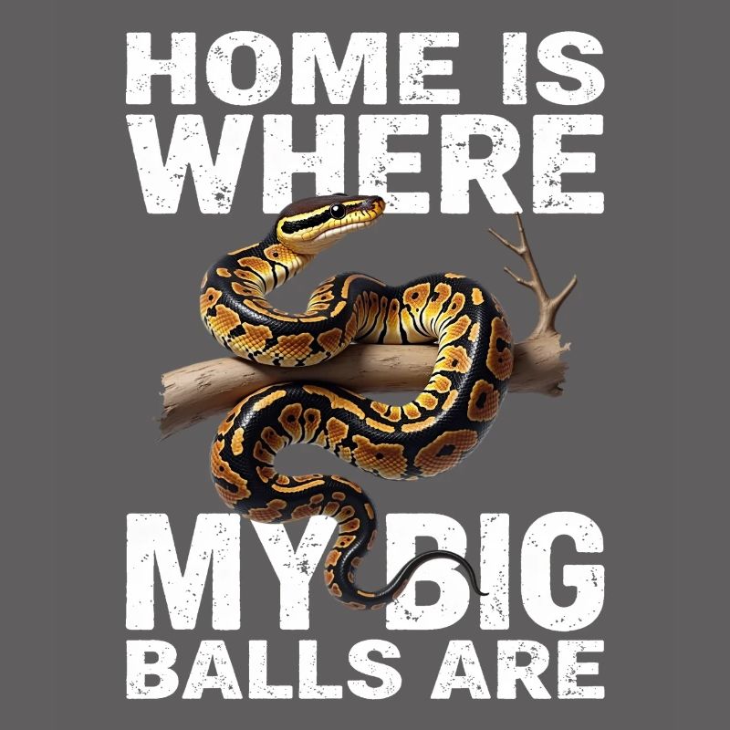 Python roi Serpents Amateurs de terrarium Python