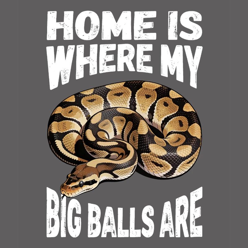 Python roi Serpents Amateurs de terrarium Python