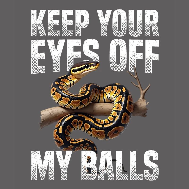 Python roi Serpents Amateurs de terrarium Python