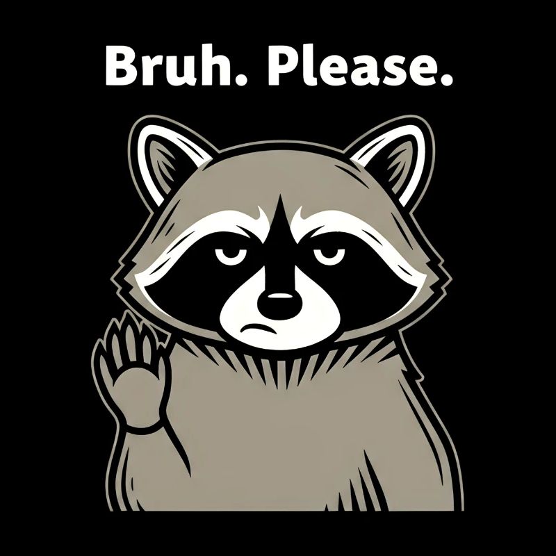 Bruh Please Raccoon Meme