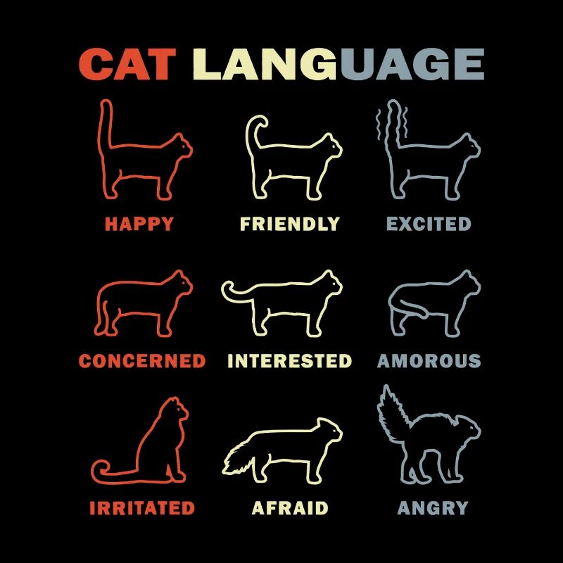 Cat Language Palette: Colorful Cat Expressions
