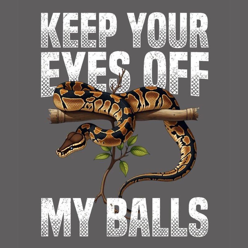 Python roi Serpents Amateurs de terrarium Python