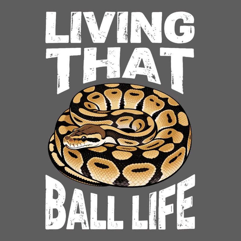 King Python Snakes Lover Terrarium Python