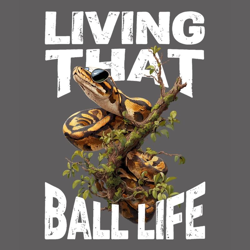 King Python Snakes Lover Terrarium Python