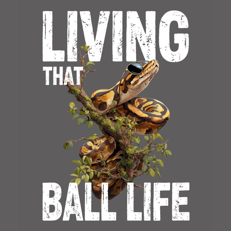 King Python Snakes Lover Terrarium Python