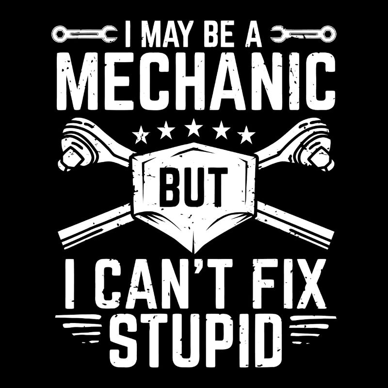 I May Be a Mechanic But I Can't Fix Stupid
