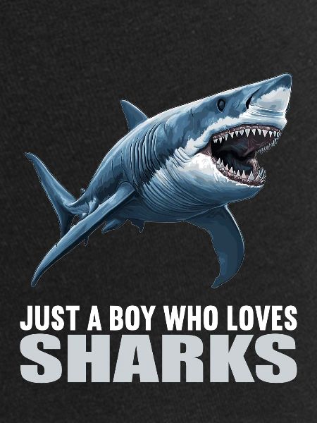 Sharks Shark