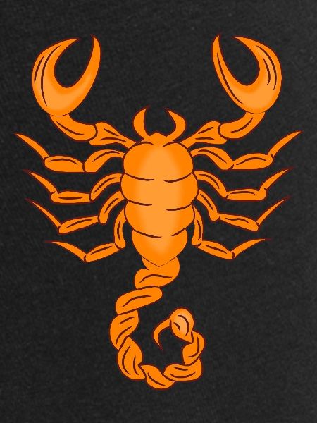 Sternzeichen Skorpion