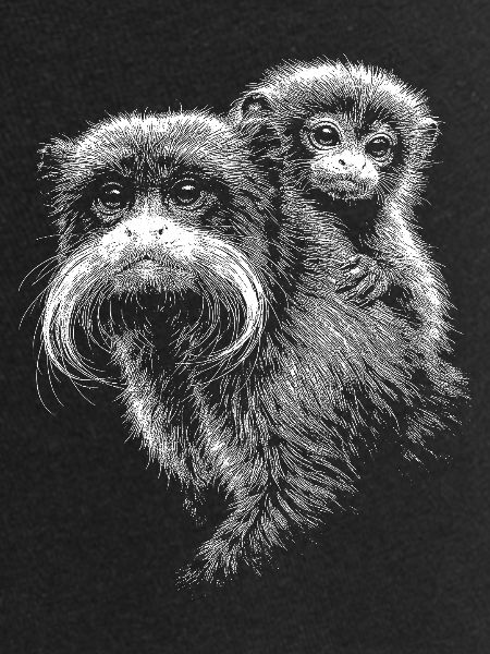 Tamarin