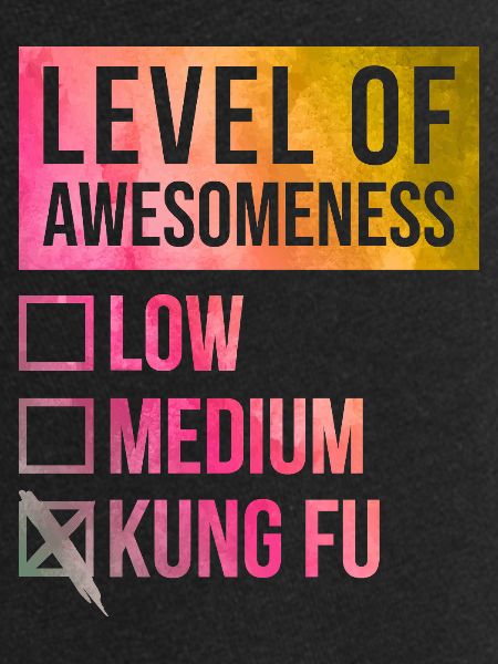 Kung Fu Kung Fu Kung Fu